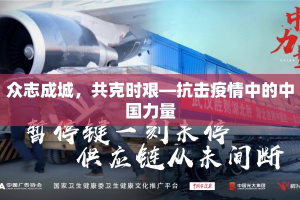 众志成城，共克时艰—抗击疫情中的中国力量