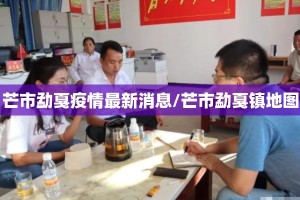 芒市勐戛疫情最新消息/芒市勐戛镇地图