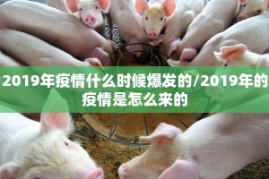 2019年疫情什么时候爆发的/2019年的疫情是怎么来的