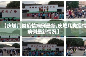 【庆城几类疫情病例最新,庆城几类疫情病例最新情况】