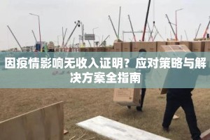 因疫情影响无收入证明？应对策略与解决方案全指南