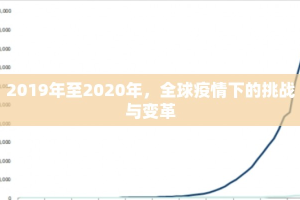 2019年至2020年，全球疫情下的挑战与变革