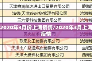 2020年3月份上海疫情/2020年3月上海疫情