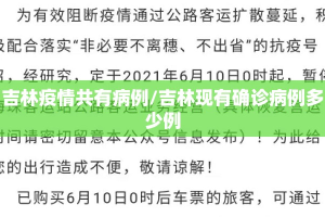 吉林疫情共有病例/吉林现有确诊病例多少例