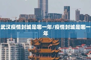 武汉疫情封城是哪一年/疫情封城是哪一年