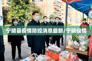 宁陵县疫情防控消息最新/宁陵役情