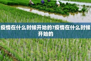疫情在什么时候开始的?疫情在什么时候开始的