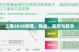 上海2020疫情，挑战、应对与启示