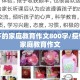 疫情下的家庭教育作文800字/疫情下的家庭教育作文