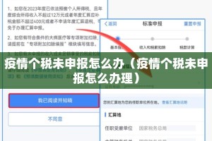 疫情个税未申报怎么办（疫情个税未申报怎么办理）