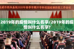 2019年的疫情叫什么名字/2019年的疫情叫什么名字?