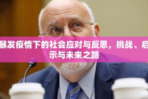 暴发疫情下的社会应对与反思，挑战、启示与未来之路