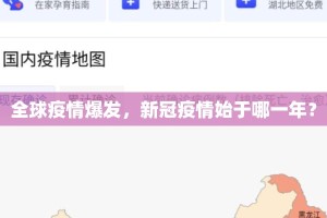 全球疫情爆发，新冠疫情始于哪一年？