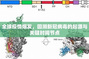 全球疫情爆发，回溯新冠病毒的起源与关键时间节点