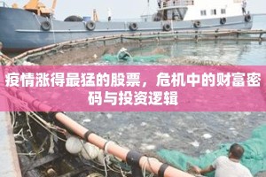 疫情涨得最猛的股票，危机中的财富密码与投资逻辑