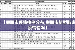 【襄阳市疫情病例分布,襄阳市新型肺炎疫情情况】