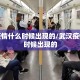 武汉疫情什么时候出现的/武汉疫情什么时候出现的