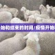 疫情开始和结束的时间/疫情开始和结束