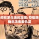 疫情期间在家生活的漫画/疫情期间的家庭生活羞羞色漫