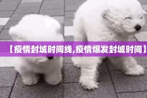 【疫情封城时间线,疫情爆发封城时间】