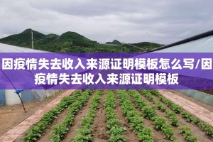 因疫情失去收入来源证明模板怎么写/因疫情失去收入来源证明模板