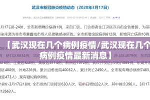 【武汉现在几个病例疫情/武汉现在几个病例疫情最新消息】