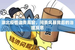 湖北疫情追责高官，问责风暴背后的治理反思
