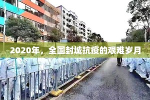 2020年，全国封城抗疫的艰难岁月