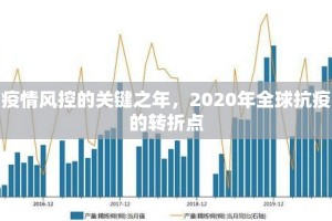 疫情风控的关键之年，2020年全球抗疫的转折点