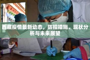 西藏疫情最新动态，防控措施、现状分析与未来展望