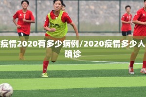 疫情2020有多少病例/2020疫情多少人确诊