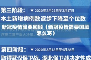 新冠疫情简要回顾（新冠疫情简要回顾怎么写）