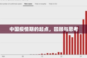 中国疫情期的起点，回顾与思考