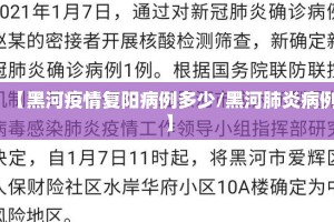 【黑河疫情复阳病例多少/黑河肺炎病例】
