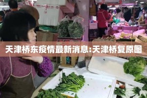 天津桥东疫情最新消息:天津桥复原图