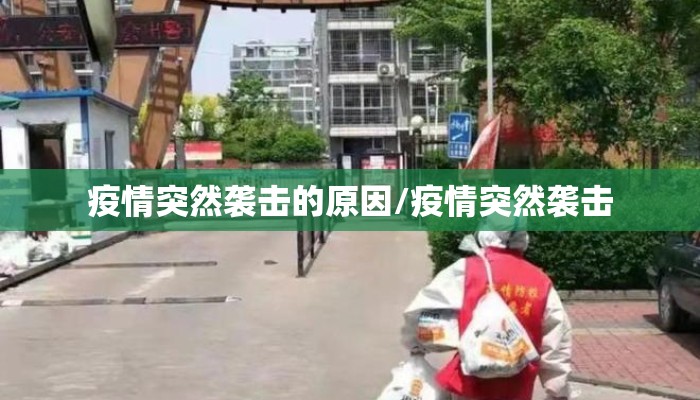 疫情突然袭击的原因/疫情突然袭击