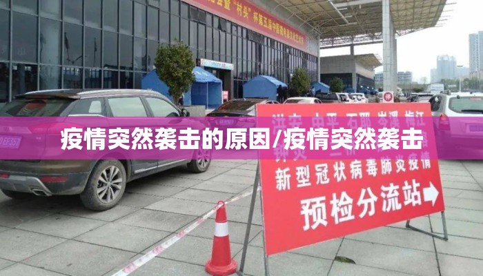 疫情突然袭击的原因/疫情突然袭击