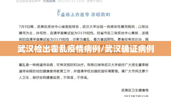 武汉检出霍乱疫情病例/武汉确证病例