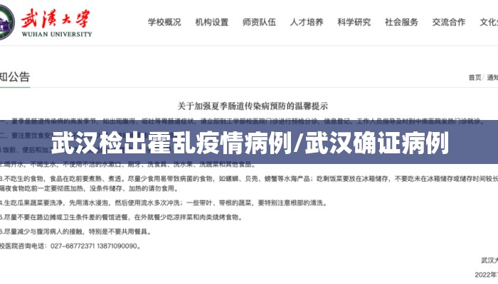 武汉检出霍乱疫情病例/武汉确证病例