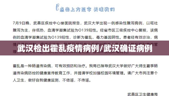 武汉检出霍乱疫情病例/武汉确证病例