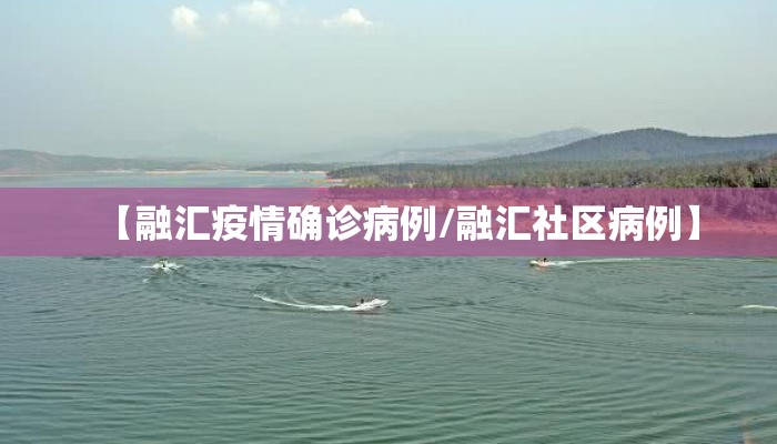 【融汇疫情确诊病例/融汇社区病例】