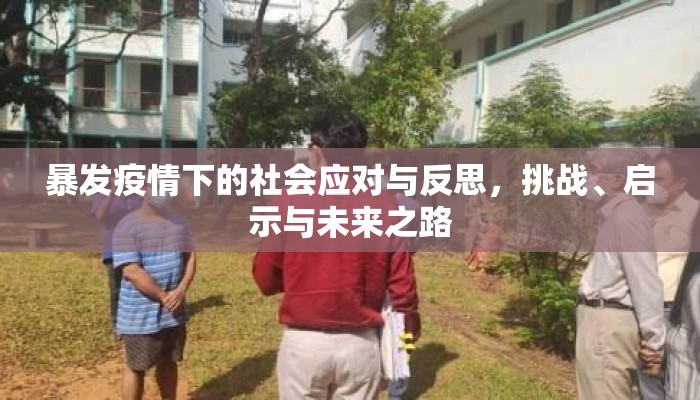 暴发疫情下的社会应对与反思，挑战、启示与未来之路