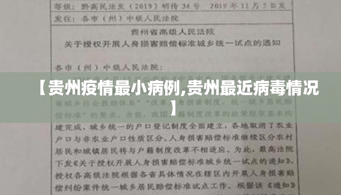 【贵州疫情最小病例,贵州最近病毒情况】