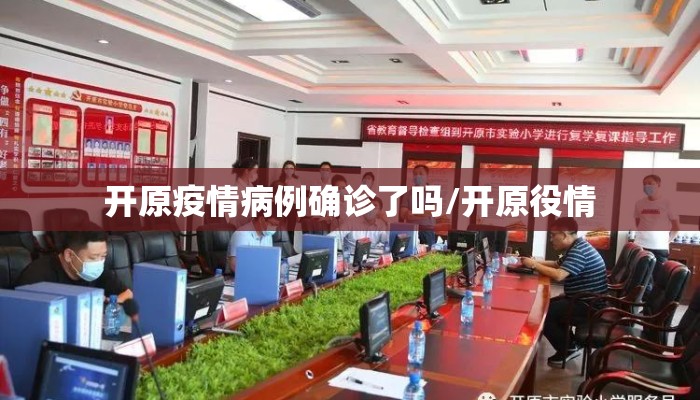 开原疫情病例确诊了吗/开原役情