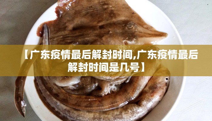 【广东疫情最后解封时间,广东疫情最后解封时间是几号】
