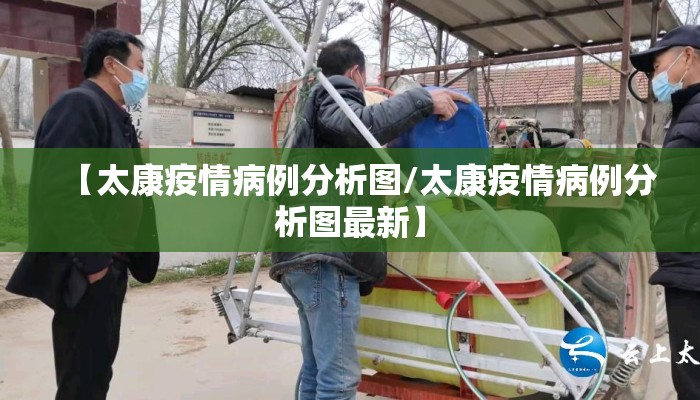 【太康疫情病例分析图/太康疫情病例分析图最新】