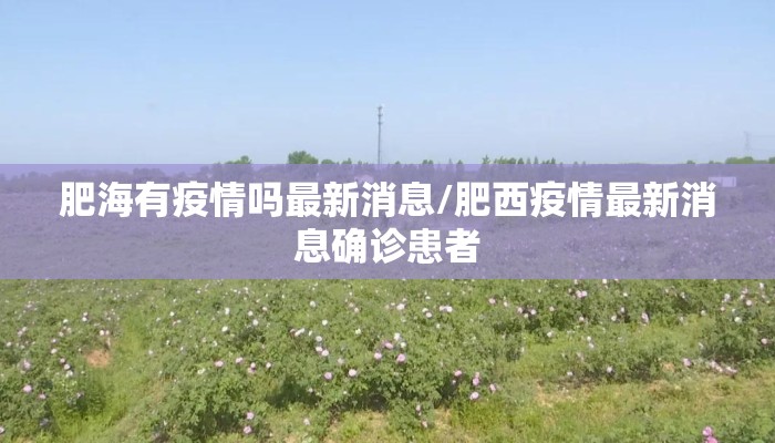 肥海有疫情吗最新消息/肥西疫情最新消息确诊患者