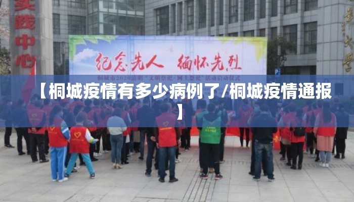【桐城疫情有多少病例了/桐城疫情通报】