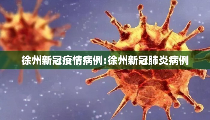 徐州新冠疫情病例:徐州新冠肺炎病例