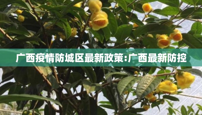 广西疫情防城区最新政策:广西最新防控